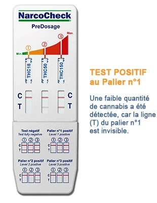Résultat positif au palier 1 du test de cannabis NarcoCheck, indiquant une faible présence de THC dans l'urine analysée.